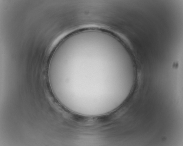 X0000113621279200909181107