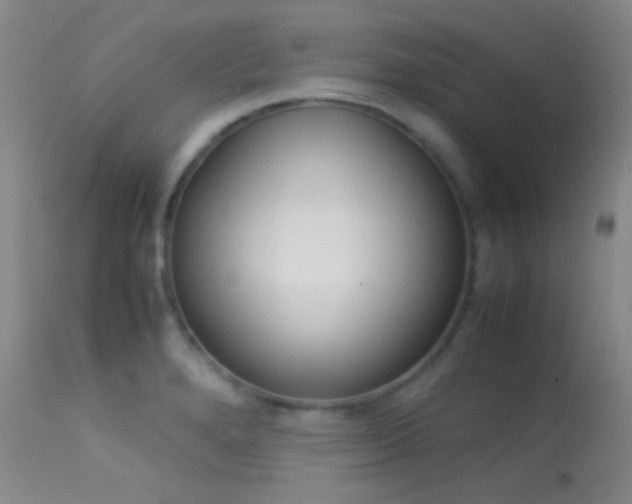 X0000113621280200909181107