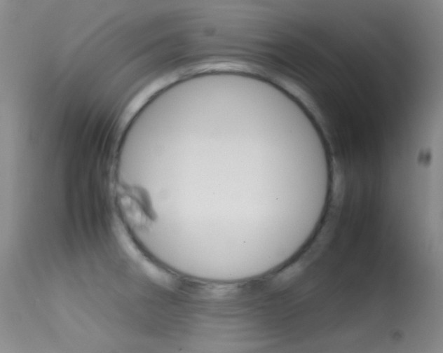 X0000113621282200909181107