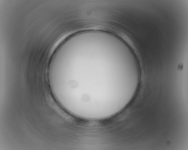 X0000113621283200909181107