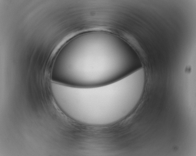 X0000113621284200909181107
