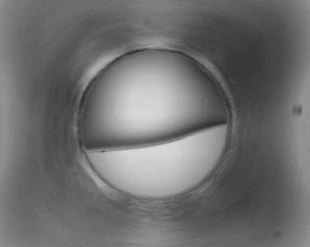 X0000113621285200909181107
