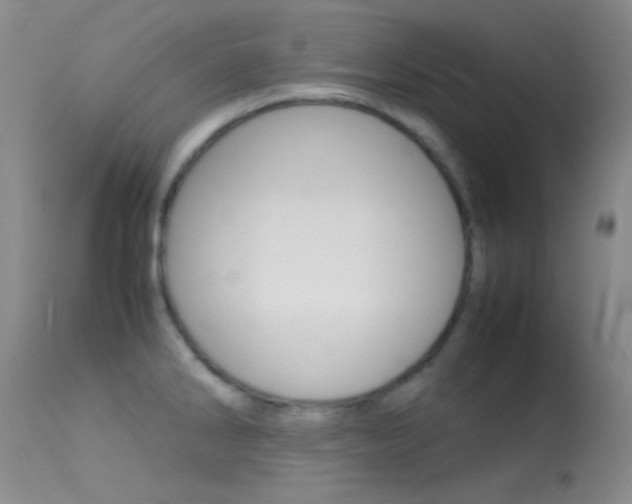 X0000113621286200909181107