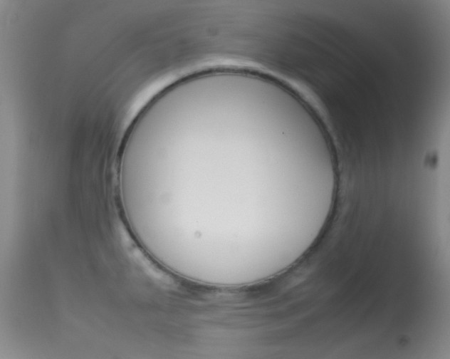 X0000113621287200909181107