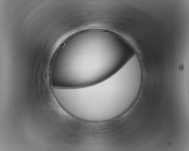 X0000113621288200909181107