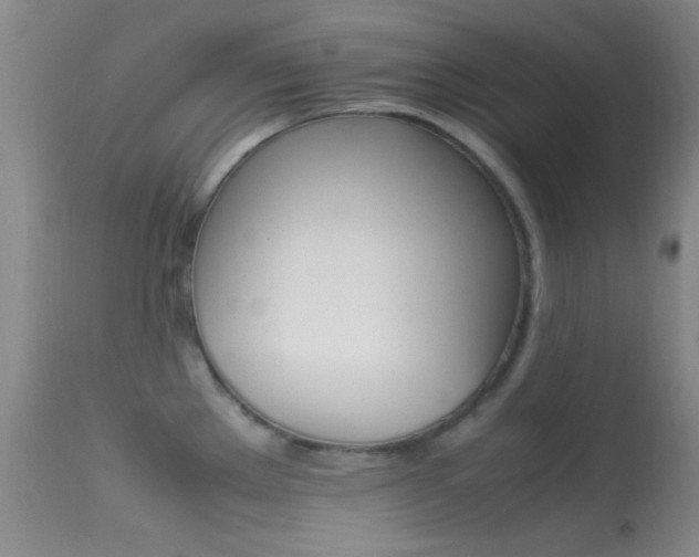 X0000113621289200909181107