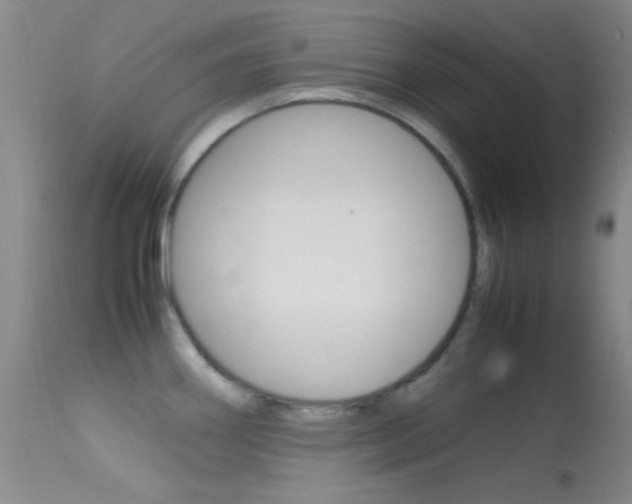 X0000113621290200909181107