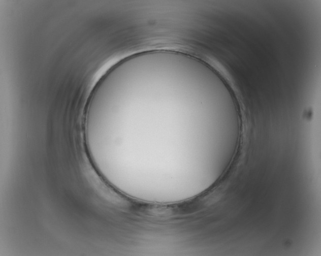 X0000113621291200909181107