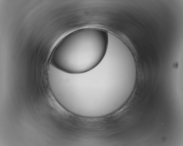 X0000113621292200909181107