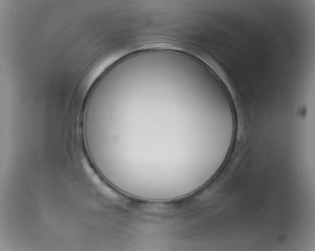 X0000113621293200909181107