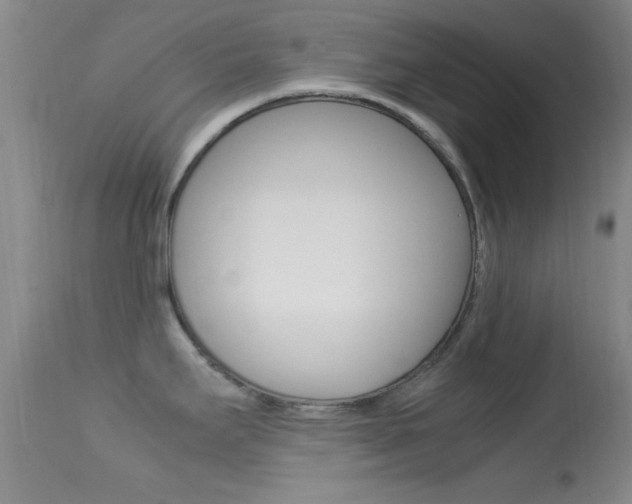 X0000113621295200909181107