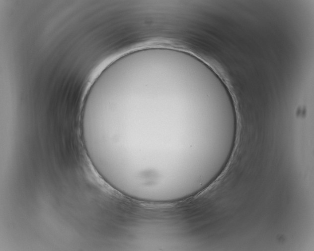 X0000113621296200909181107