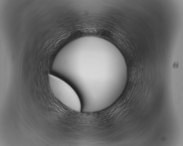 X0000113621297200909181106