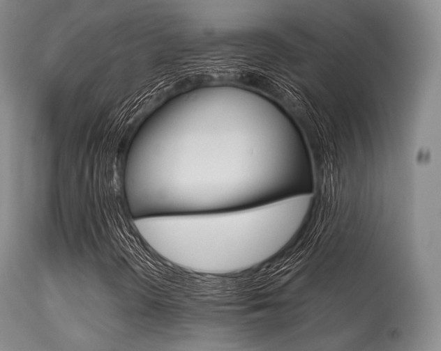 X0000113621298200909181106