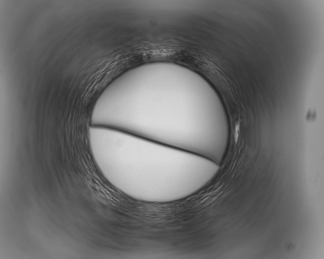 X0000113621299200909181106