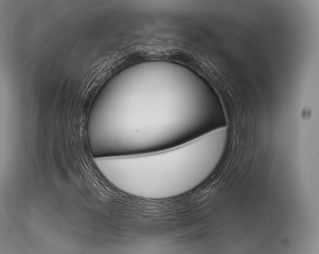 X0000113621300200909181106