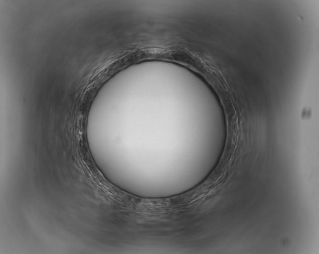 X0000113621301200909181106