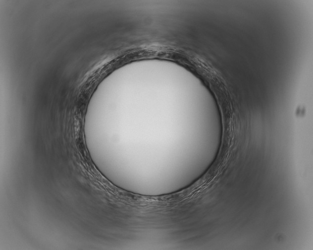 X0000113621302200909181106