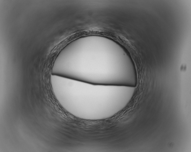 X0000113621303200909181106