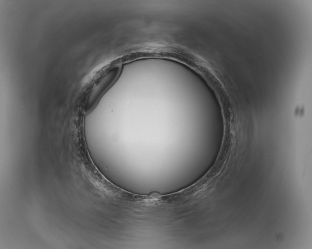X0000113621304200909181106