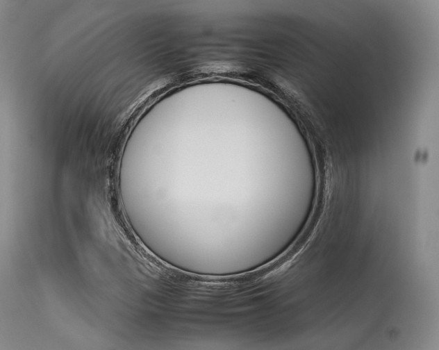 X0000113621305200909181106