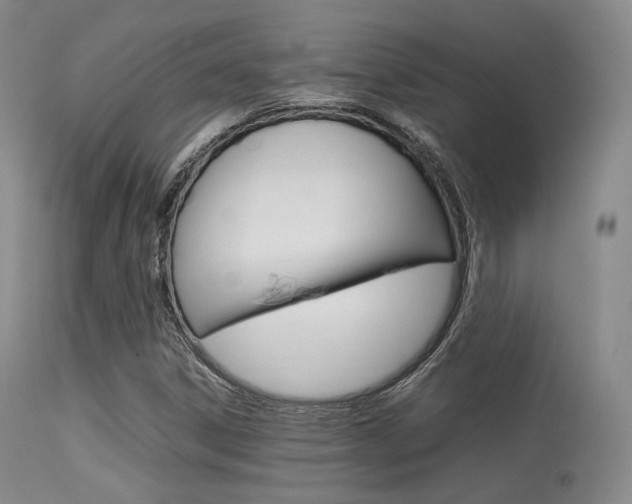 X0000113621306200909181106