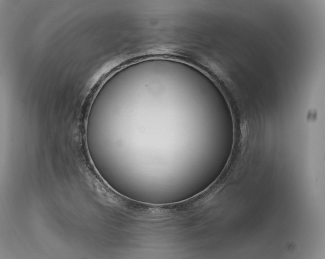 X0000113621308200909181106