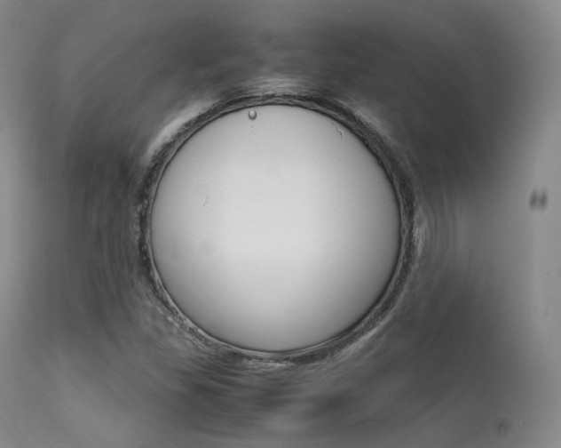 X0000113621309200909181106
