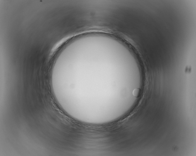 X0000113621310200909181106