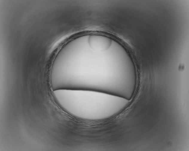 X0000113621311200909181106