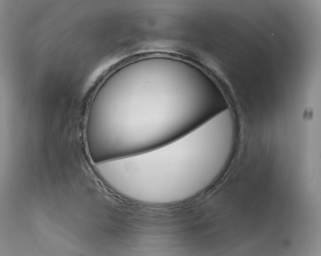X0000113621312200909181106