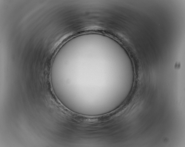 X0000113621313200909181106