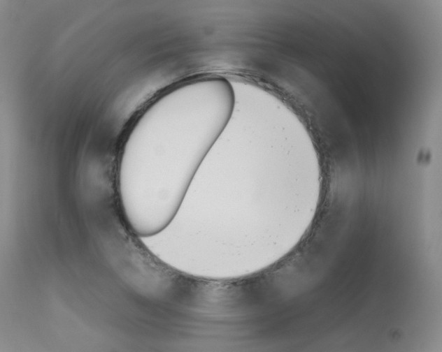X0000113621314200909181106