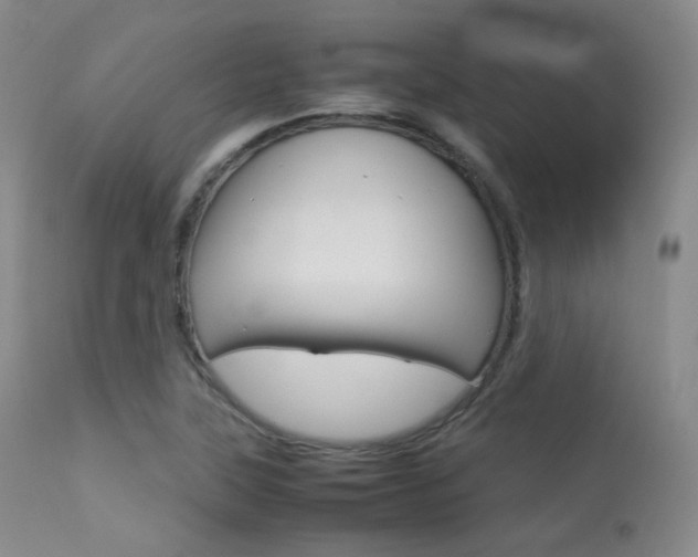 X0000113621315200909181106