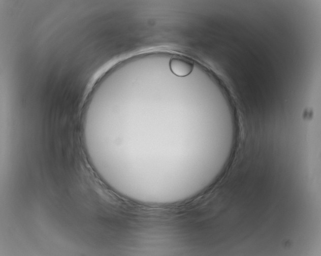 X0000113621316200909181106