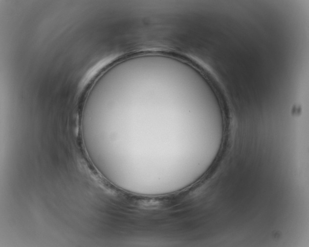 X0000113621317200909181106