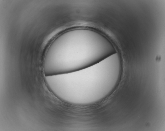 X0000113621318200909181106