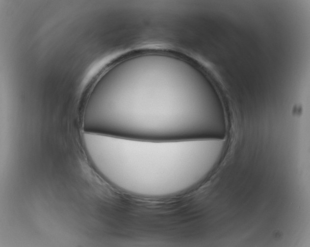 X0000113621319200909181106