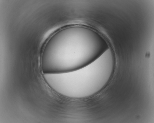 X0000113621320200909181106