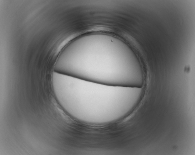 X0000113621321200909181106