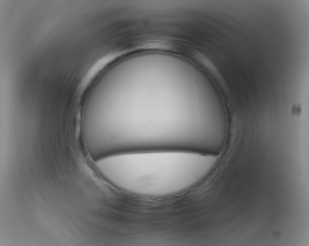 X0000113621323200909181106