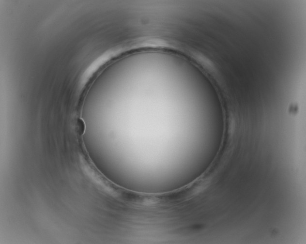 X0000113621326200909181106