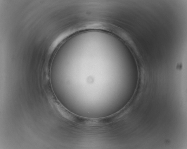 X0000113621328200909181106