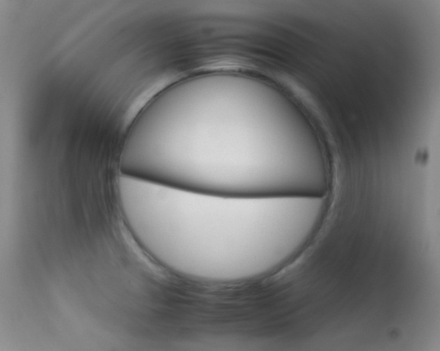 X0000113621329200909181106