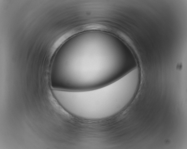 X0000113621330200909181106