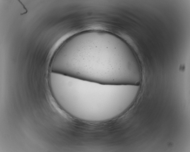 X0000113621331200909181106