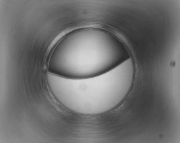 X0000113621332200909181106