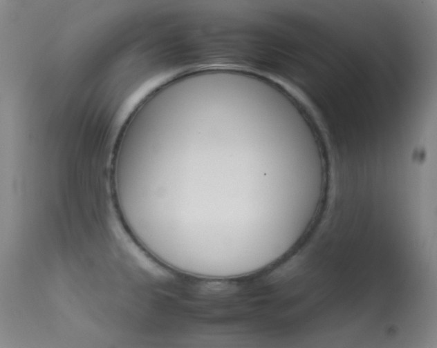 X0000113621333200909181106