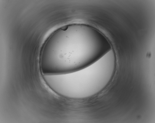 X0000113621334200909181106