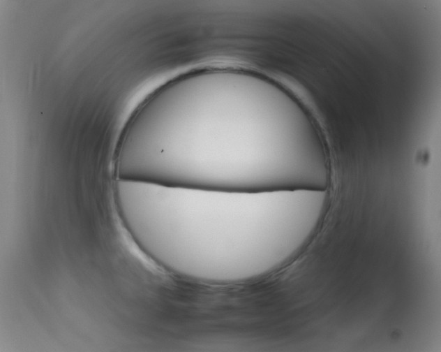 X0000113621335200909181106
